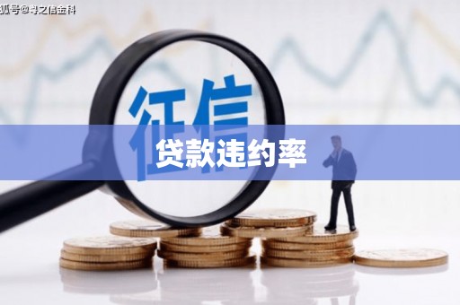 大林贷款违约率