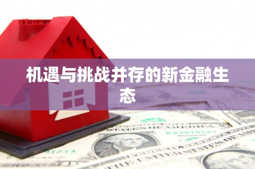 石鼓机遇与挑战并存的新金融生态