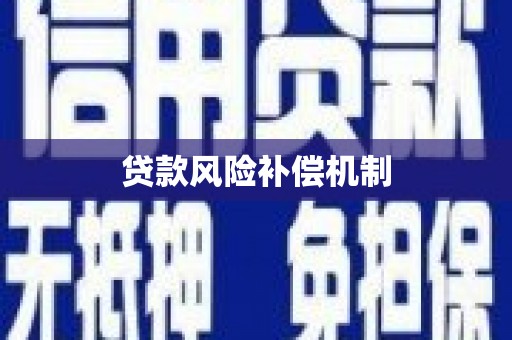 崇仁贷款风险补偿机制