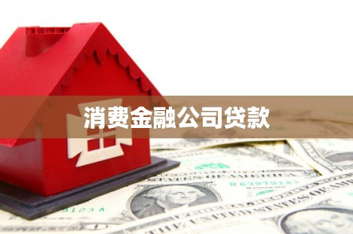 仁布消费金融公司贷款
