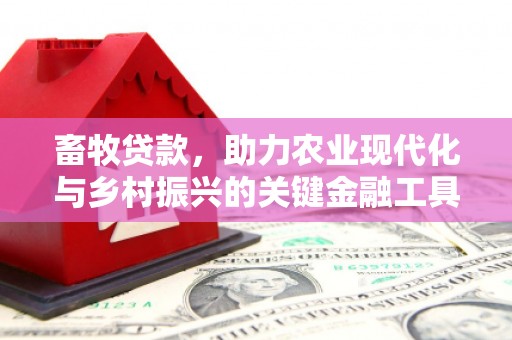 苏家屯畜牧贷款，助力农业现代化与乡村振兴的关键金融工具