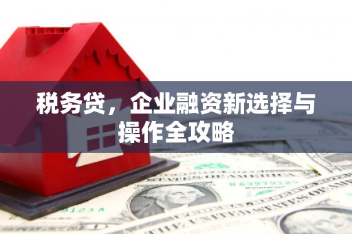 宛城税务贷，企业融资新选择与操作全攻略