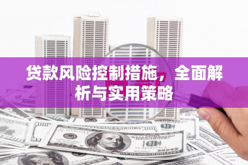 固阳贷款风险控制措施，全面解析与实用策略
