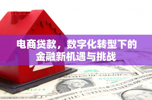 江川电商贷款，数字化转型下的金融新机遇与挑战