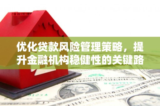 东宝优化贷款风险管理策略，提升金融机构稳健性的关键路径