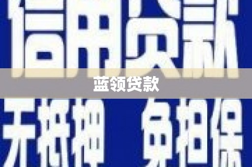 颍上蓝领贷款