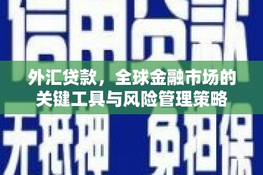 西畴外汇贷款，全球金融市场的关键工具与风险管理策略