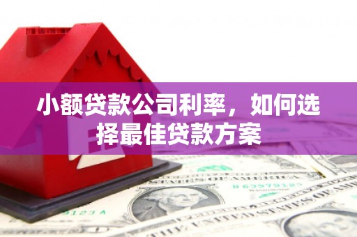 张家界小额贷款公司利率，如何选择最佳贷款方案