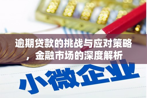 和田市逾期贷款的挑战与应对策略，金融市场的深度解析
