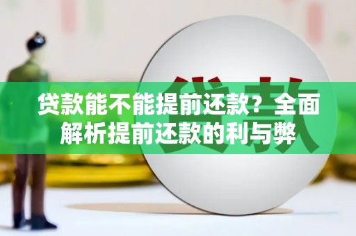府谷贷款能不能提前还款？全面解析提前还款的利与弊