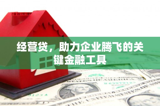 文安经营贷，助力企业腾飞的关键金融工具