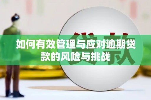 鹿泉如何有效管理与应对逾期贷款的风险与挑战