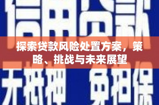 云和探索贷款风险处置方案，策略、挑战与未来展望