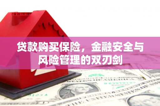 石屏贷款购买保险，金融安全与风险管理的双刃剑
