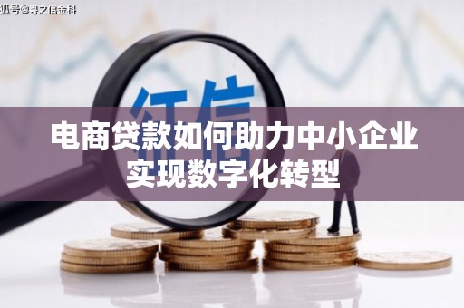 灌云电商贷款如何助力中小企业实现数字化转型
