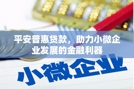 碌曲平安普惠贷款，助力小微企业发展的金融利器