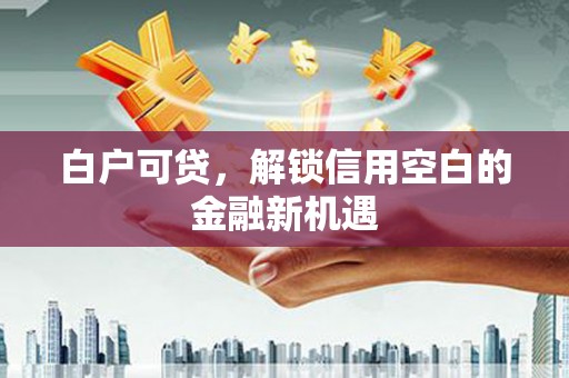 瑞芳白户可贷，解锁信用空白的金融新机遇