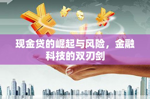 丹寨现金贷的崛起与风险，金融科技的双刃剑