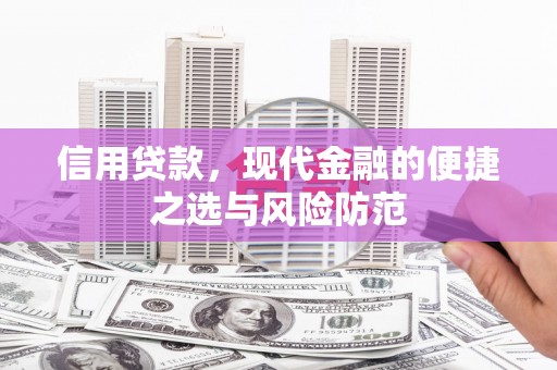 惠济信用贷款，现代金融的便捷之选与风险防范