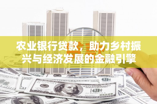 南海农业银行贷款，助力乡村振兴与经济发展的金融引擎