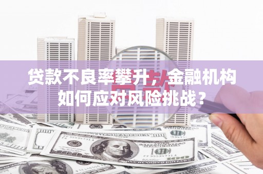 黄平贷款不良率攀升，金融机构如何应对风险挑战？