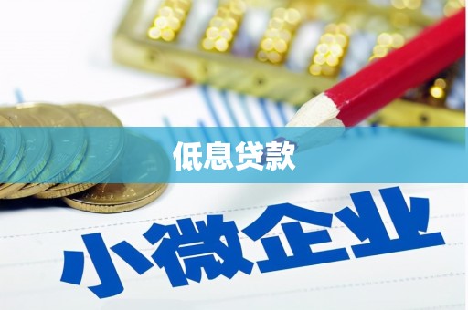 秦安低息贷款