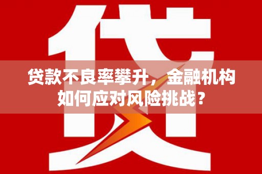 潢川贷款不良率攀升，金融机构如何应对风险挑战？