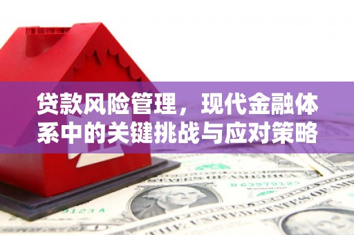 西陵贷款风险管理，现代金融体系中的关键挑战与应对策略