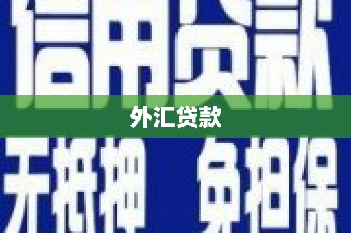 资源外汇贷款
