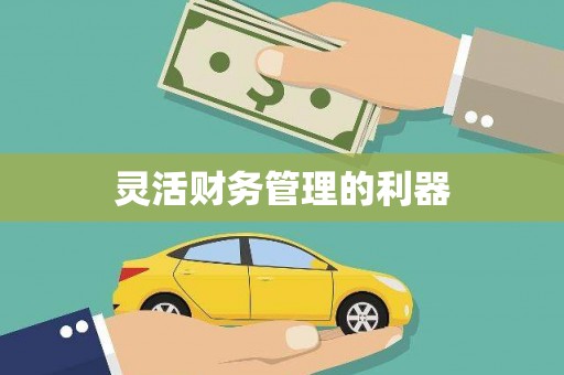 麦积灵活财务管理的利器