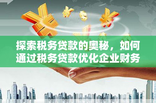 岐山探索税务贷款的奥秘，如何通过税务贷款优化企业财务