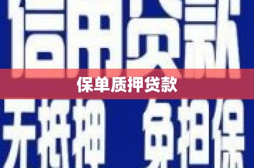 错那保单质押贷款