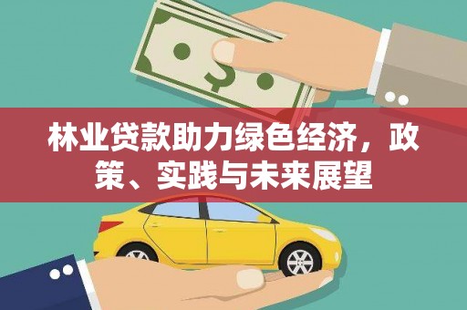 木垒林业贷款助力绿色经济，政策、实践与未来展望