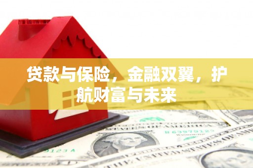 道里贷款与保险，金融双翼，护航财富与未来