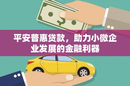 新北平安普惠贷款，助力小微企业发展的金融利器