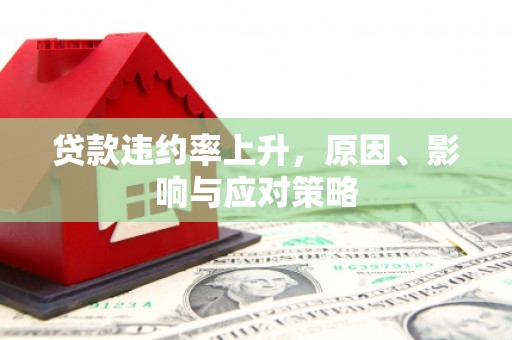 狮潭贷款违约率上升，原因、影响与应对策略