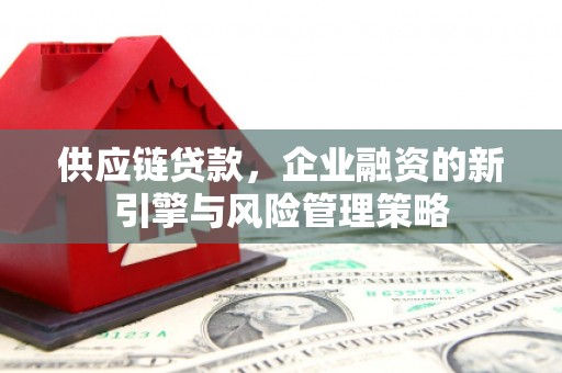 任城供应链贷款，企业融资的新引擎与风险管理策略