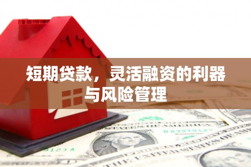 福鼎短期贷款，灵活融资的利器与风险管理
