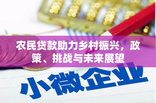 汝州农民贷款助力乡村振兴，政策、挑战与未来展望