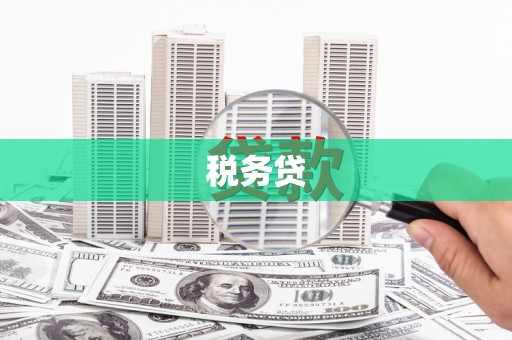 宾阳税务贷