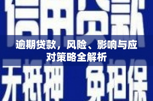 洛浦逾期贷款，风险、影响与应对策略全解析
