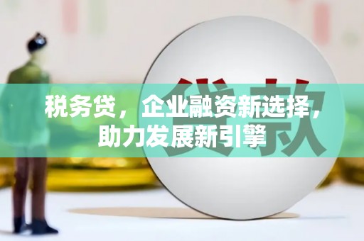 兰州税务贷，企业融资新选择，助力发展新引擎