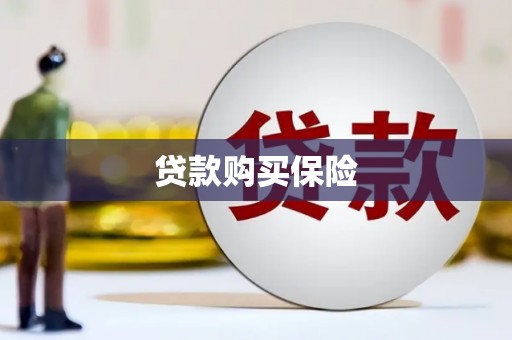 托克托贷款购买保险