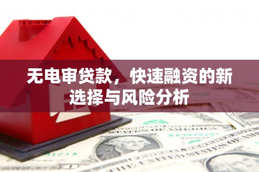 泗阳无电审贷款，快速融资的新选择与风险分析
