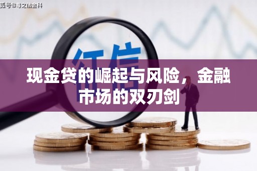 津市现金贷的崛起与风险，金融市场的双刃剑