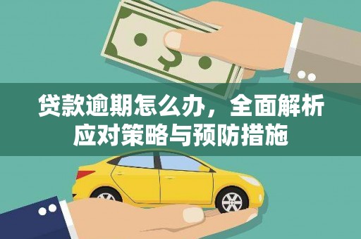 潭子贷款逾期怎么办，全面解析应对策略与预防措施