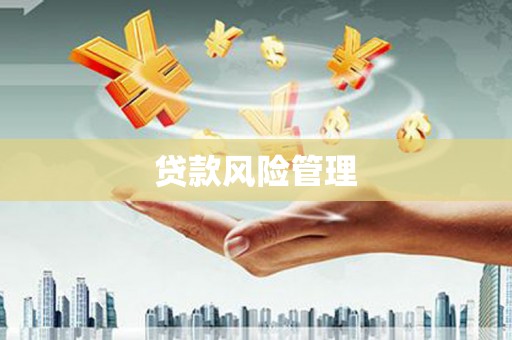 雾峰贷款风险管理