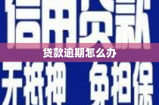 灞桥贷款逾期怎么办