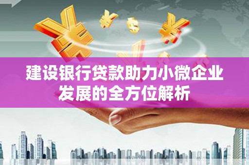 曲水建设银行贷款助力小微企业发展的全方位解析
