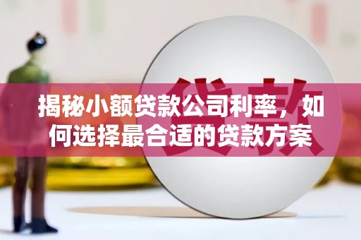 大兴安岭揭秘小额贷款公司利率，如何选择最合适的贷款方案